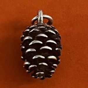 ISO James Avery Pincone